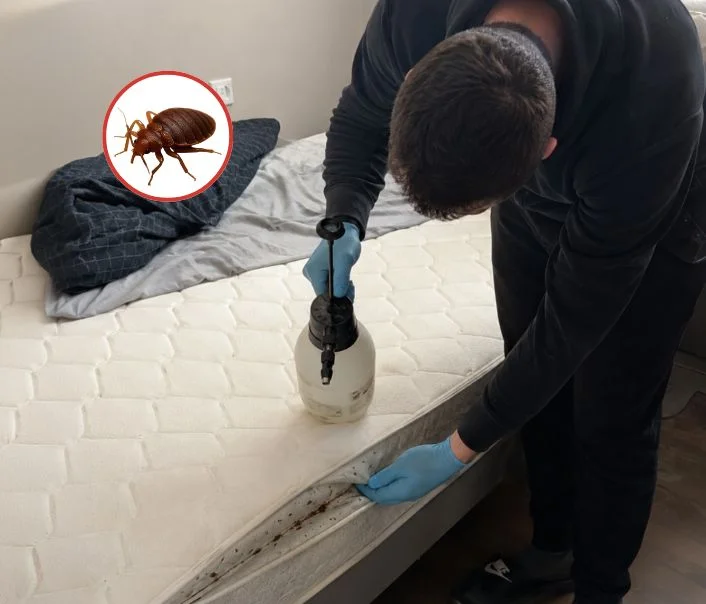 Technicien traitant un matelas contre les punaises de lit à Paris 1er